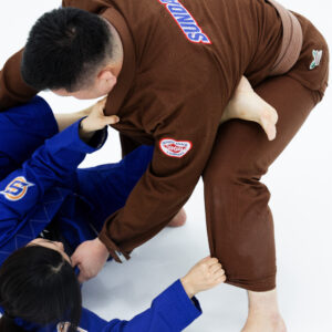 Sunday Grocery Store BJJ Gi Energy brown 4