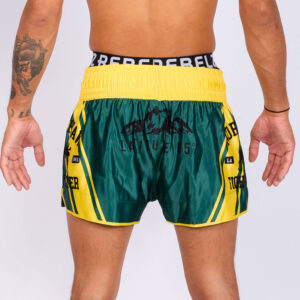 AGS Thaiboxningsshorts 1